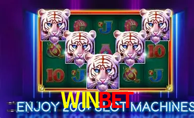APP oficial da WINBET para mobile